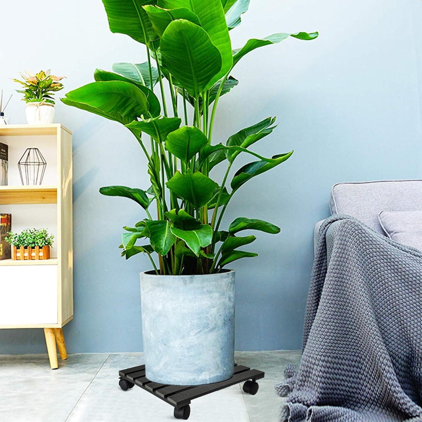 Plant Caddy Heavy Duty Plant Pot with 5 Rolling Wheels Indoor/Outdoor Holds up to 14 Inches and 150 Lbs Strong and Sturdy Design (14 Inch Square, Charcoal)