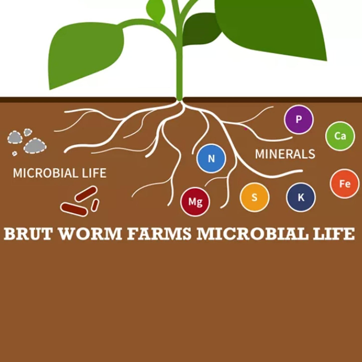 Brut Organic Worm Castings – 30 Lb – Garden'S Elixir for Thriving Blooms & Harvests!