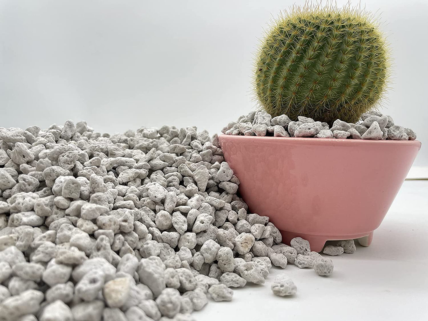 Pumice for Bonsai, Succulent, Cactus | 2 Quarts Bag | 1/4β Particle Size |