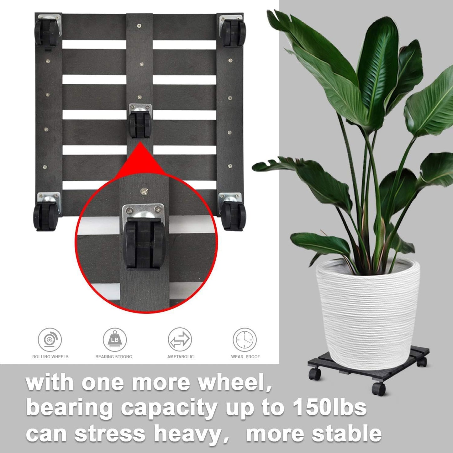 Plant Caddy Heavy Duty Plant Pot with 5 Rolling Wheels Indoor/Outdoor Holds up to 14 Inches and 150 Lbs Strong and Sturdy Design (14 Inch Square, Charcoal)