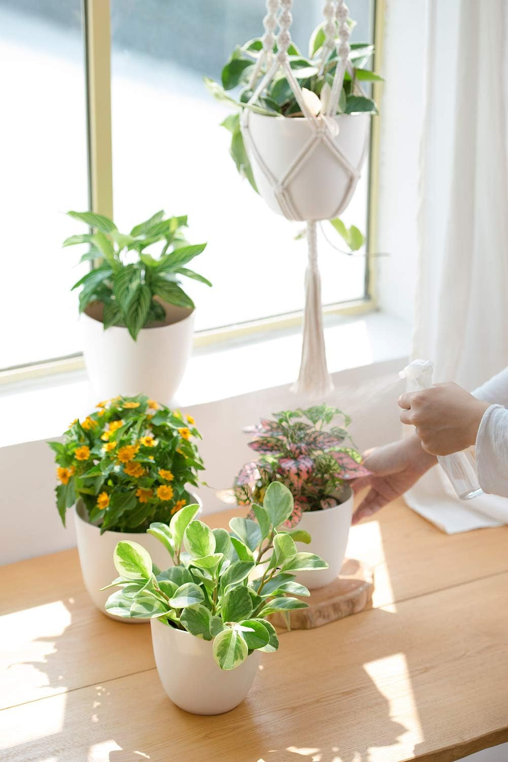 7.5" Plastic Plant Pots with Saucers, Indoor Set of 5, Cream White