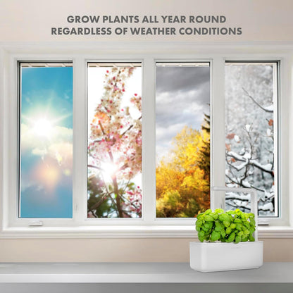 Indoor Herb Garden Kit with Grow Light | Smart Garden for Home Kitchen Windowsill | Easier than Hydroponics Growing System | Vegetable Gardening Starter (3 Basil Pods Included), White