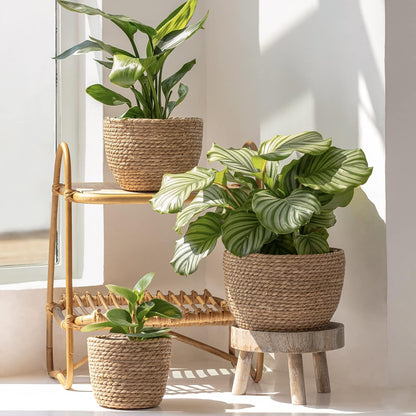 Seagrass Planter Basket Indoor, Flower Pots Cover, Plant Containers, Natural(3-Pack) 10.2"+8.7"+6.7"