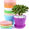 8 Pcs 4" Plastic Plant Flower Seedlings Nursery Pot/Pots Planter Colorful Flower Plant Container Seed Starting Pots with Pallet and Drainage Holes for Home Garden Flowers Plants,8 Colors