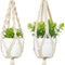 Mini Macrame Plant Car Accessories Rear View Mirrior Charm Cute Hanging Rearview Car Decor Boho Hanger with Artificial Succulent Plants Gifts for Plant Lover Set of 2, White