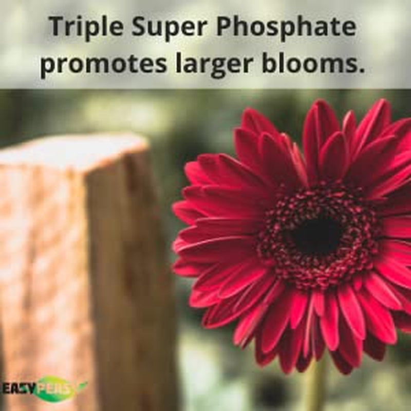 TRIPLE SUPER PHOSPHATE FERTILIZER 0-46-0 | Phosphorus Fertilizer for Gardens, Lawns, Indoor and Outdoor Plants | ROCK PHOSPHATE PLANT FOOD FERTILIZER for ORCHIDS, WISTERIA, CACTUS and ALL OTHER PLANTS