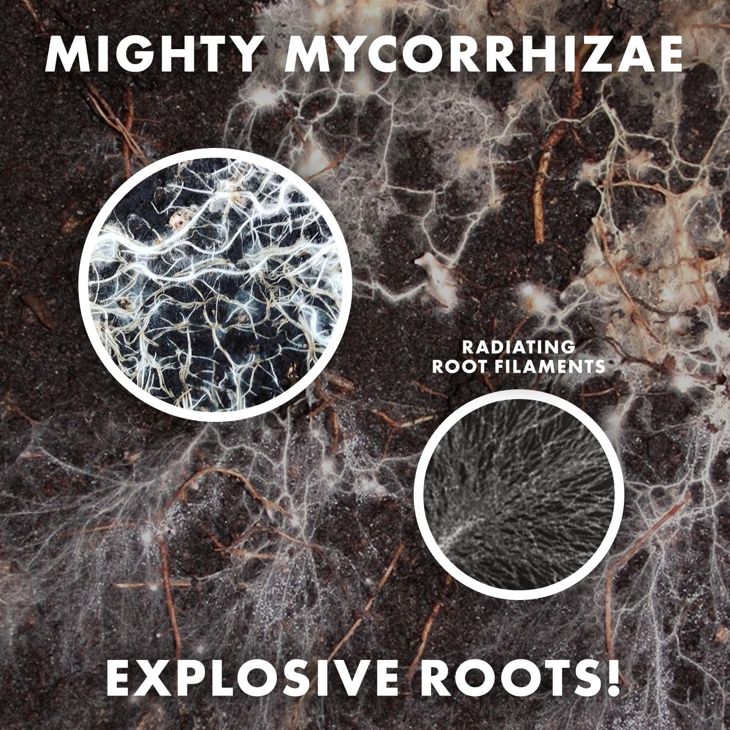 Mycorrhizae 16 Species Inoculant (1 Oz) Improves Drought Tolerance + Saves Precious Water + Fertilizer, Root Stimulator • Explodes Root Growth [1 Oz Treats 1,200 (4 Inch) Plants]