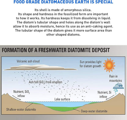 Diatomaceous Earth Food Grade – 100% Natural Organic – Safe for Humans and Pets – Fresh Water Powder – Sealed Bag