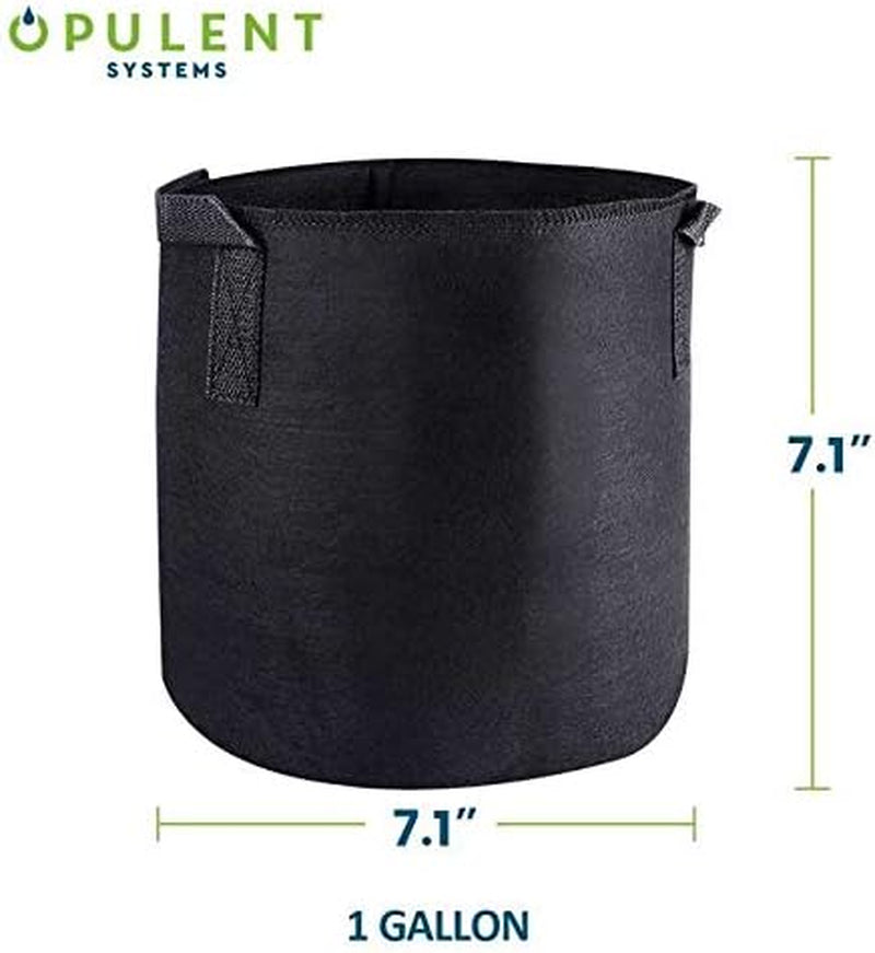 10-Pack 1 Gallon Grow Bags Heavy Duty Thickened Nonwoven Fabric Containers for Potato/Plant Growing Pots with Handles (Black)