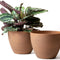 Flower Pots Outdoor - Large Garden Planters with Drainage Holes Set of 2 (11.3 Inch, Terracotta Color)