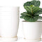 7.5" Plastic Plant Pots with Saucers, Indoor Set of 5, Cream White