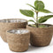 Seagrass Planter Basket Indoor, Flower Pots Cover, Plant Containers, Natural(3-Pack) 10.2"+8.7"+6.7"